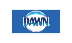 Kathy Verduin Voice Alive Dawn Dish Detergent Logo